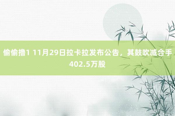 偷偷撸1 11月29日拉卡拉发布公告，其鼓吹减合手402.5万股