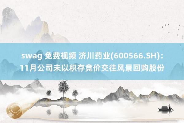 swag 免费视频 济川药业(600566.SH)：11月公司未以积存竞价交往风景回购股份