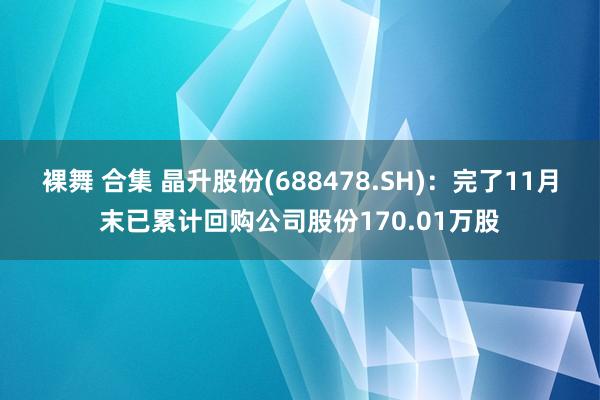 裸舞 合集 晶升股份(688478.SH)：完了11月末已累计回购公司股份170.01万股