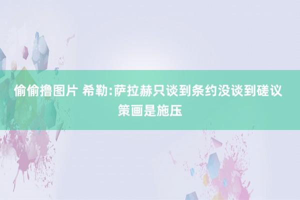 偷偷撸图片 希勒:萨拉赫只谈到条约没谈到磋议 策画是施压