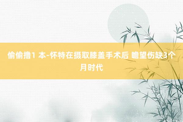 偷偷撸1 本-怀特在摄取膝盖手术后 瞻望伤缺3个月时代