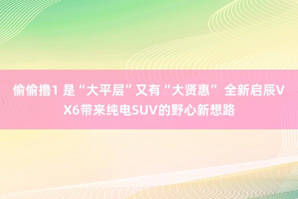 偷偷撸1 是“大平层”又有“大贤惠” 全新启辰VX6带来纯电SUV的野心新想路