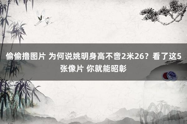 偷偷撸图片 为何说姚明身高不啻2米26？看了这5张像片 你就能昭彰