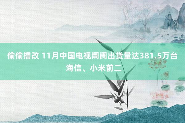 偷偷撸改 11月中国电视阛阓出货量达381.5万台 海信、小米前二