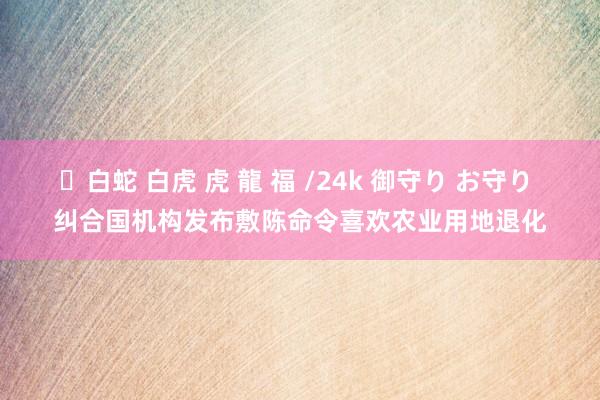 ✨白蛇 白虎 虎 龍 福 /24k 御守り お守り 纠合国机构发布敷陈命令喜欢农业用地退化