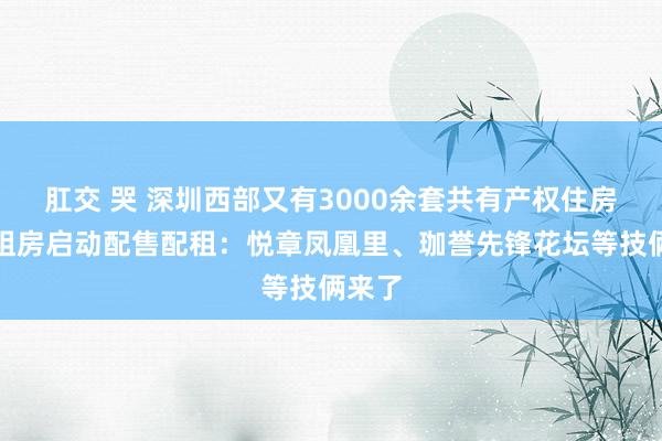 肛交 哭 深圳西部又有3000余套共有产权住房及公租房启动配售配租：悦章凤凰里、珈誉先锋花坛等技俩来了