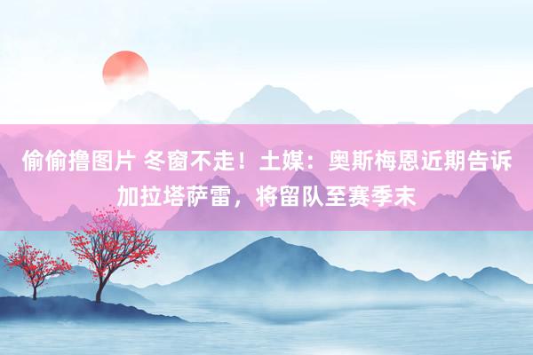 偷偷撸图片 冬窗不走！土媒：奥斯梅恩近期告诉加拉塔萨雷，将留队至赛季末