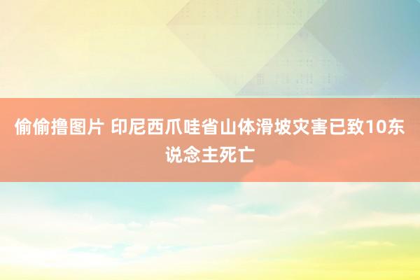 偷偷撸图片 印尼西爪哇省山体滑坡灾害已致10东说念主死亡