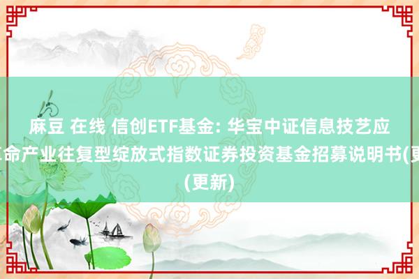 麻豆 在线 信创ETF基金: 华宝中证信息技艺应用革命产业往复型绽放式指数证券投资基金招募说明书(更新)