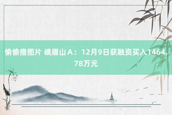 偷偷撸图片 峨眉山Ａ：12月9日获融资买入1464.78万元