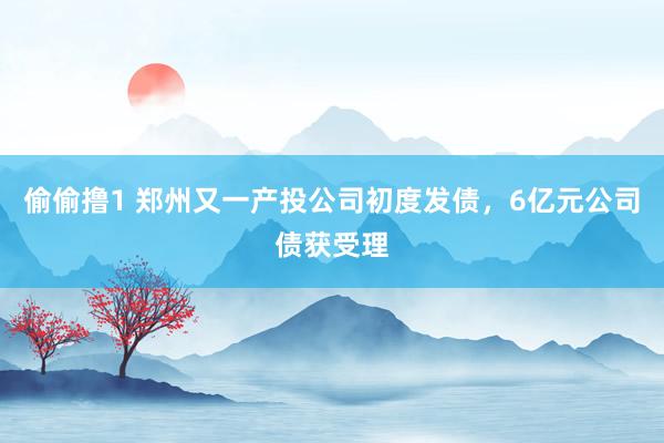 偷偷撸1 郑州又一产投公司初度发债，6亿元公司债获受理