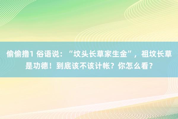 偷偷撸1 俗语说：“坟头长草家生金”，祖坟长草是功德！到底该不该计帐？你怎么看？