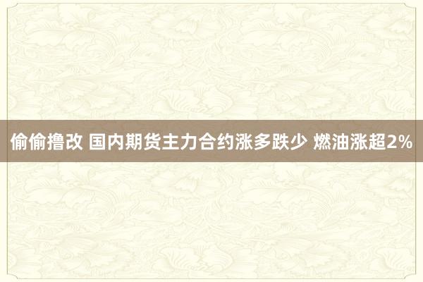 偷偷撸改 国内期货主力合约涨多跌少 燃油涨超2%