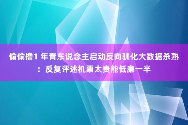 偷偷撸1 年青东说念主启动反向驯化大数据杀熟：反复评述机票太贵能低廉一半