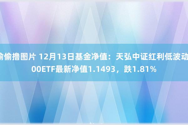 偷偷撸图片 12月13日基金净值：天弘中证红利低波动100ETF最新净值1.1493，跌1.81%