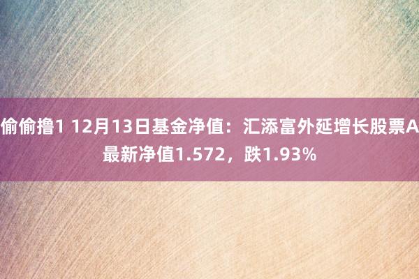 偷偷撸1 12月13日基金净值：汇添富外延增长股票A最新净值1.572，跌1.93%