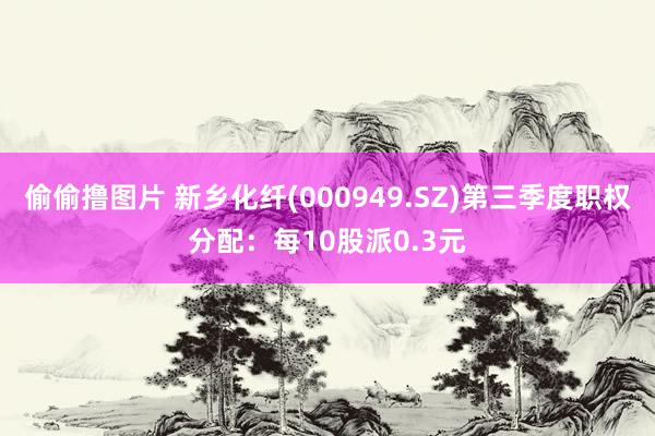 偷偷撸图片 新乡化纤(000949.SZ)第三季度职权分配：每10股派0.3元