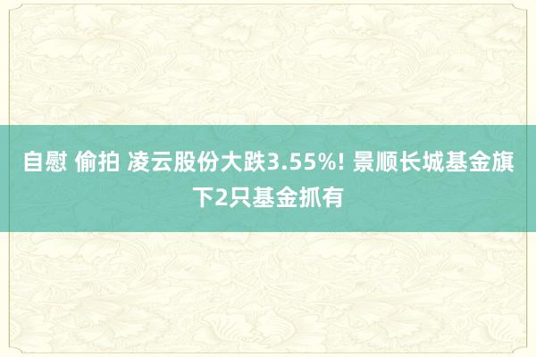 自慰 偷拍 凌云股份大跌3.55%! 景顺长城基金旗下2只基金抓有