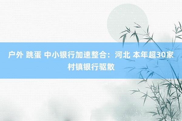 户外 跳蛋 中小银行加速整合：河北 本年超30家村镇银行驱散