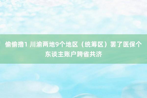 偷偷撸1 川渝两地9个地区（统筹区）罢了医保个东谈主账户跨省共济