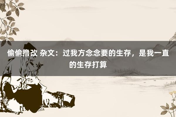 偷偷撸改 杂文：过我方念念要的生存，是我一直的生存打算