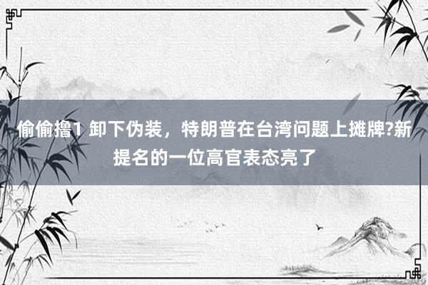 偷偷撸1 卸下伪装，特朗普在台湾问题上摊牌?新提名的一位高官表态亮了