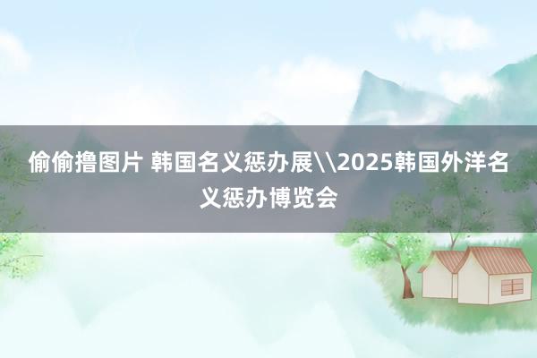 偷偷撸图片 韩国名义惩办展\2025韩国外洋名义惩办博览会