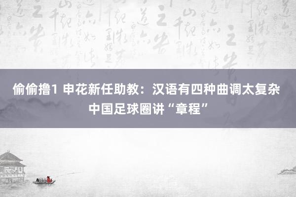 偷偷撸1 申花新任助教：汉语有四种曲调太复杂 中国足球圈讲“章程”