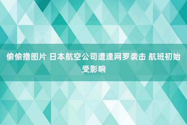 偷偷撸图片 日本航空公司遭逢网罗袭击 航班初始受影响