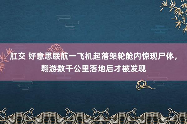 肛交 好意思联航一飞机起落架轮舱内惊现尸体，翱游数千公里落地后才被发现