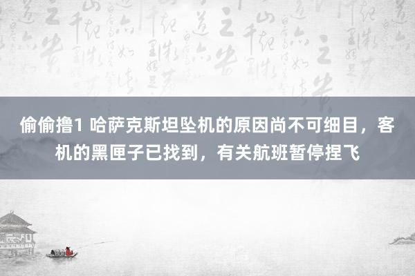 偷偷撸1 哈萨克斯坦坠机的原因尚不可细目，客机的黑匣子已找到，有关航班暂停捏飞