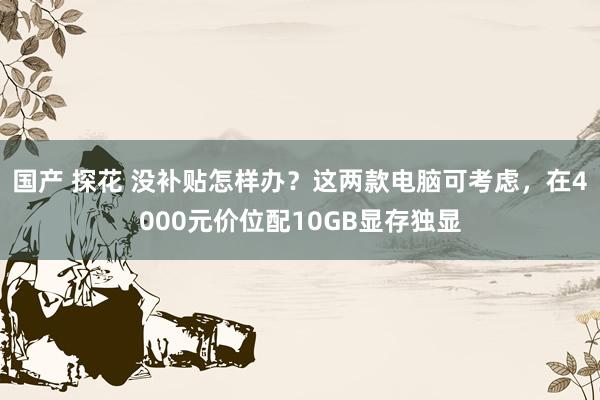 国产 探花 没补贴怎样办？这两款电脑可考虑，在4000元价位配10GB显存独显