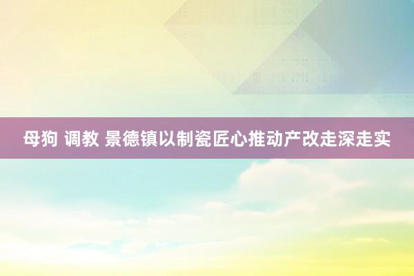 母狗 调教 景德镇以制瓷匠心推动产改走深走实