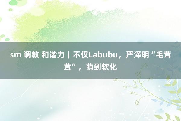 sm 调教 和谐力｜不仅Labubu，严泽明“毛茸茸”，萌到软化