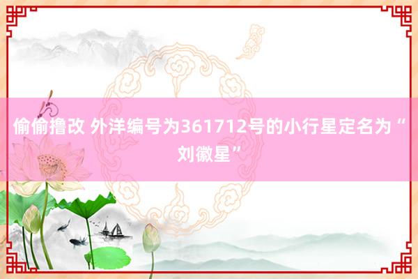 偷偷撸改 外洋编号为361712号的小行星定名为“刘徽星”