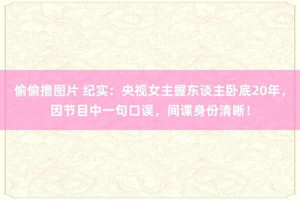 偷偷撸图片 纪实：央视女主握东谈主卧底20年，因节目中一句口误，间谍身份清晰！