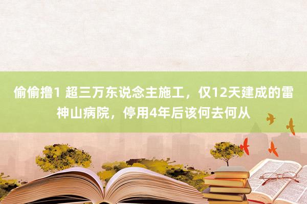 偷偷撸1 超三万东说念主施工，仅12天建成的雷神山病院，停用4年后该何去何从