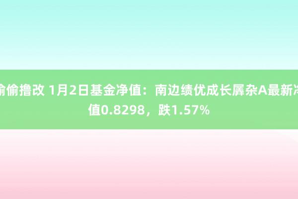 偷偷撸改 1月2日基金净值：南边绩优成长羼杂A最新净值0.8298，跌1.57%