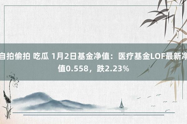 自拍偷拍 吃瓜 1月2日基金净值：医疗基金LOF最新净值0.558，跌2.23%