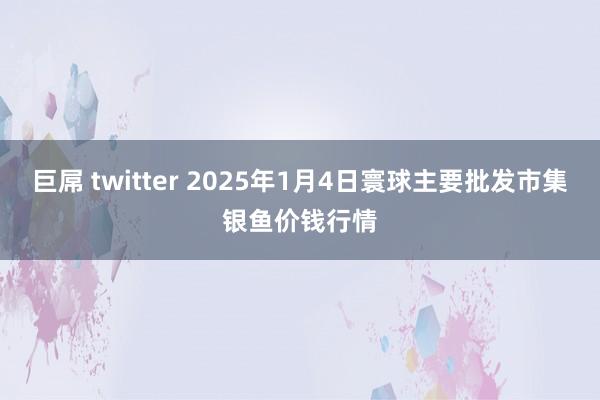 巨屌 twitter 2025年1月4日寰球主要批发市集银鱼价钱行情