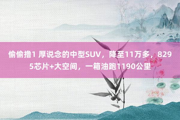 偷偷撸1 厚说念的中型SUV，降至11万多，8295芯片+大空间，一箱油跑1190公里