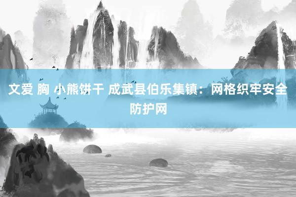 文爱 胸 小熊饼干 成武县伯乐集镇：网格织牢安全防护网