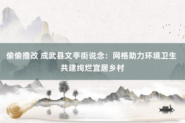 偷偷撸改 成武县文亭街说念：网格助力环境卫生 共建绚烂宜居乡村