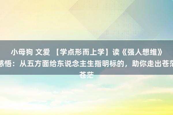 小母狗 文爱 【学点形而上学】读《强人想维》感悟：从五方面给东说念主生指明标的，助你走出苍茫