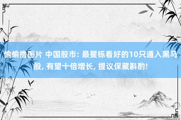 偷偷撸图片 中国股市: 最矍铄看好的10只遁入黑马股， 有望十倍增长， 提议保藏斟酌!