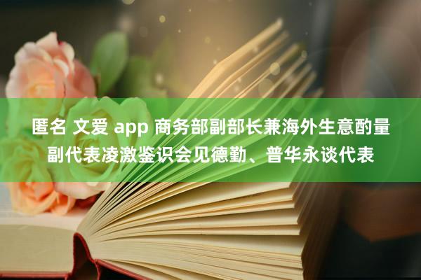 匿名 文爱 app 商务部副部长兼海外生意酌量副代表凌激鉴识会见德勤、普华永谈代表