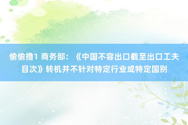 偷偷撸1 商务部：《中国不容出口截至出口工夫目次》转机并不针对特定行业或特定国别