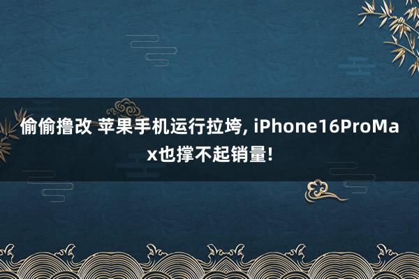 偷偷撸改 苹果手机运行拉垮， iPhone16ProMax也撑不起销量!