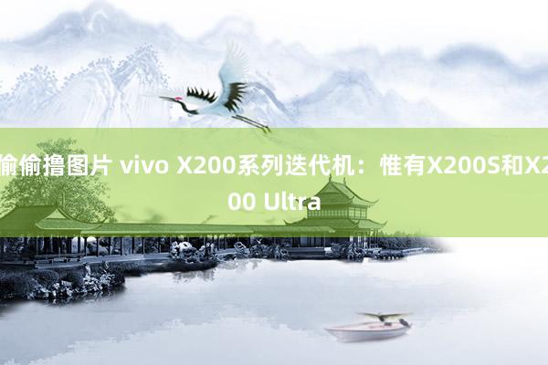 偷偷撸图片 vivo X200系列迭代机：惟有X200S和X200 Ultra