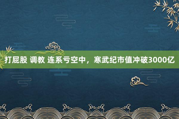 打屁股 调教 连系亏空中，寒武纪市值冲破3000亿